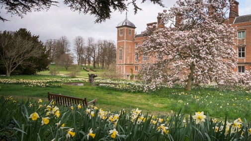Blickling Hall with daffodils and magnolia flowering